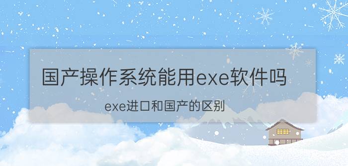 国产操作系统能用exe软件吗 exe进口和国产的区别？